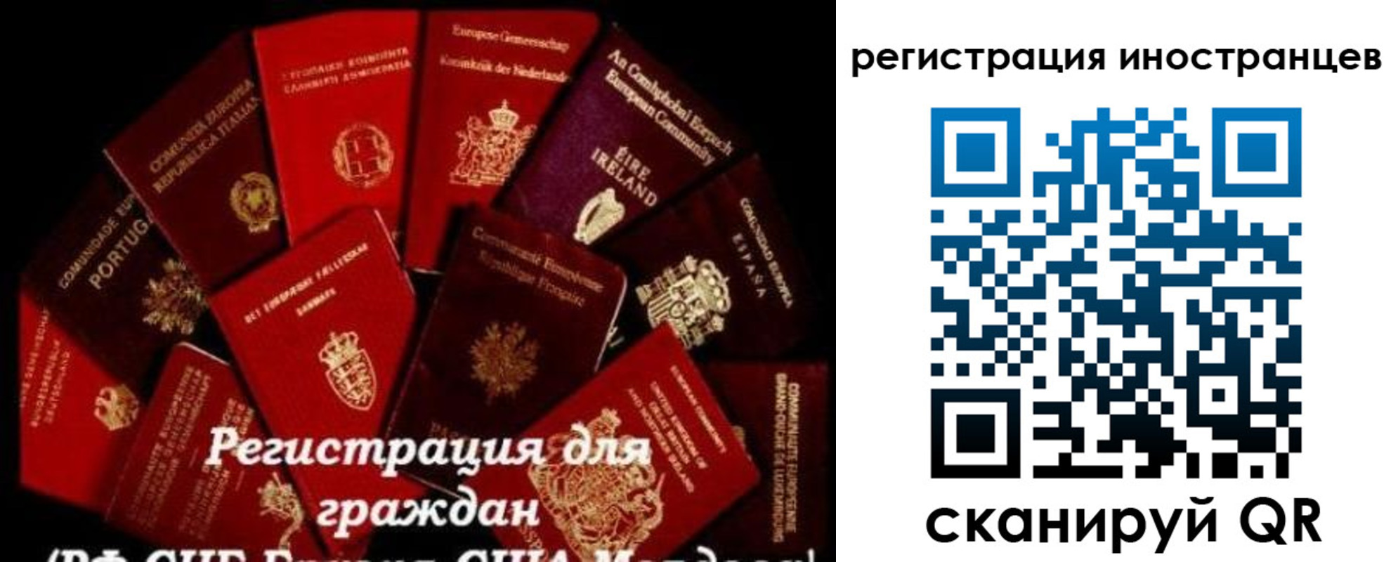 прописка иностранных граждан в Алексеевке